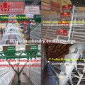 Professional design low price equipment chicken farm